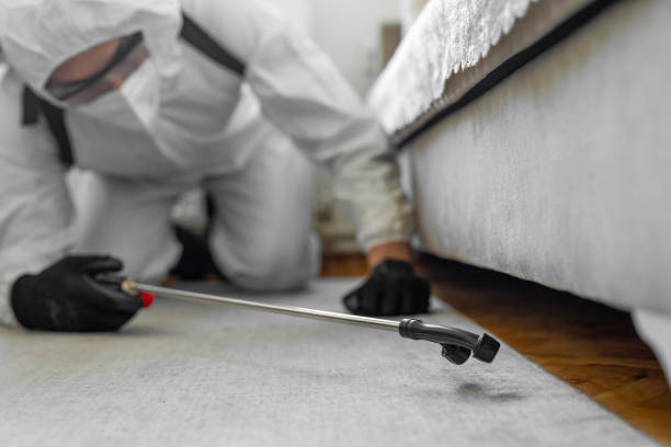 Professional Termite Control technician working in Bloomer, WI