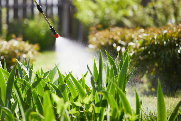 24/7 Emergency Termite Control experts in Bloomer, WI
