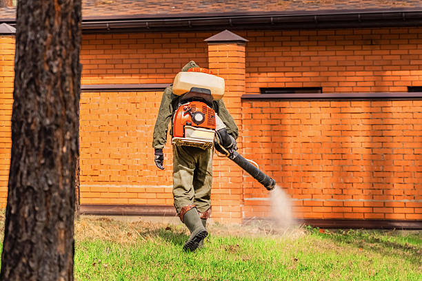 Top rated local Termite Control specialists in Bloomer, WI